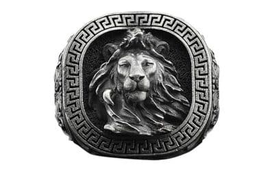 Avis : bague lion en argent BySilverStone