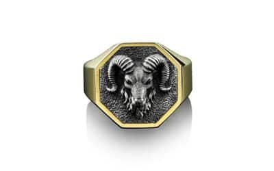 Avis : bague chevalière pour homme en argent 925 Ram Head