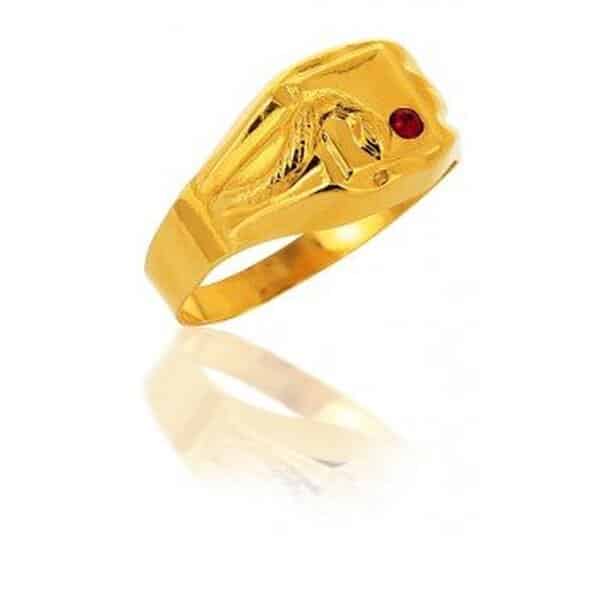 Découvrez notre avis complet sur la chevalière or jaune 18 carats AvenueDuBijou avec rubis et motif serpent : qualité, design et caractéristiques de ce bijou précieux. 